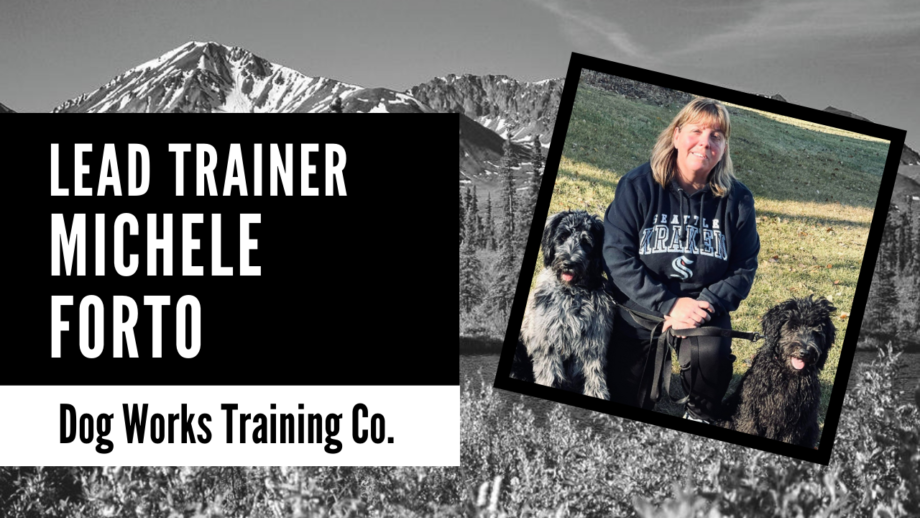 lead trainer of Alaska Dog Works Michele Forto