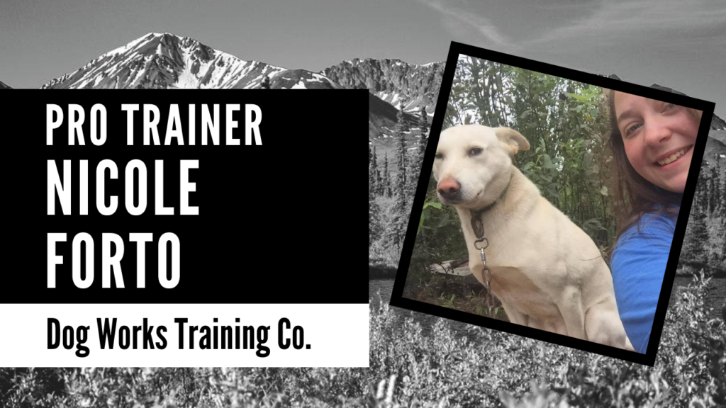 pro trainer at Alaska Dog Works Nicole forto