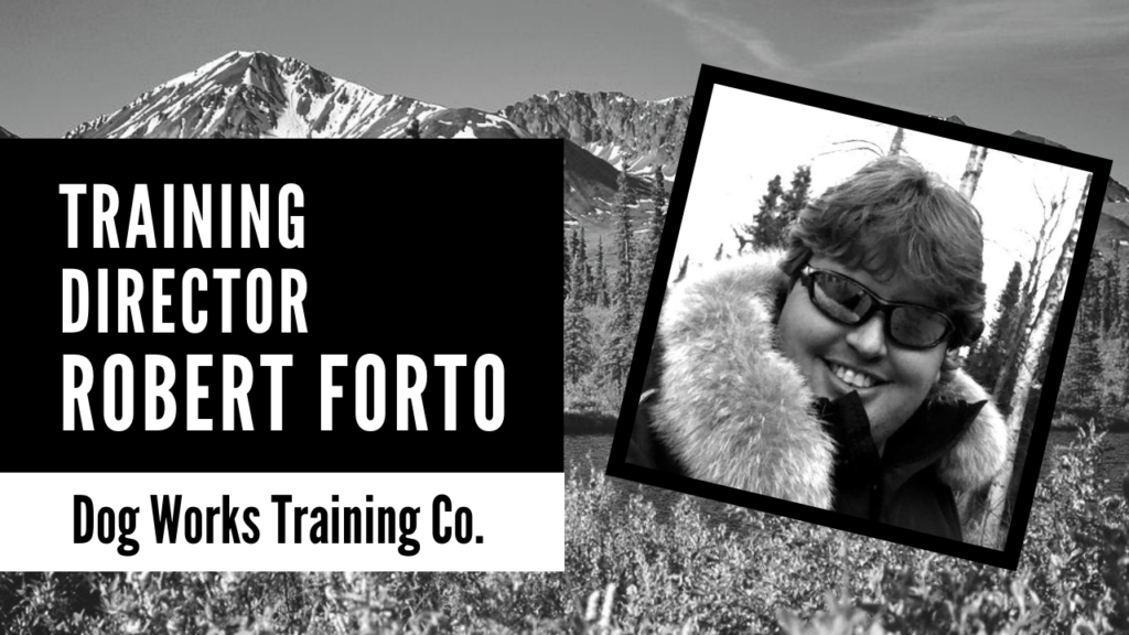 Training Director of Alaska Dog Works Robert Forto