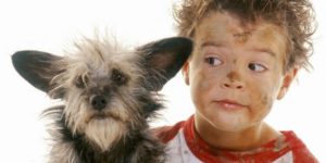 Kids and Dogs Alaska Dog Works