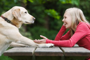 HOW TO TALK TO YOUR DOG