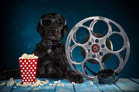 best dog movies on netflix
