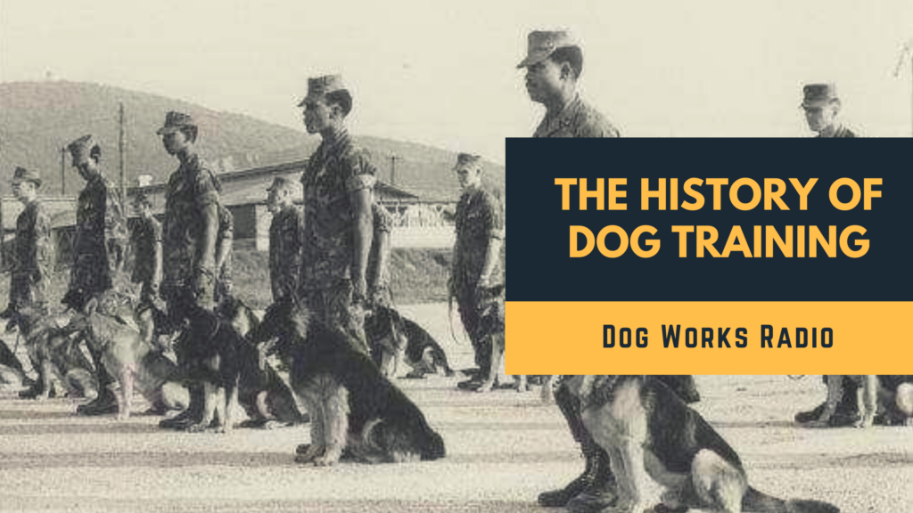 history of dog training alaska dog works