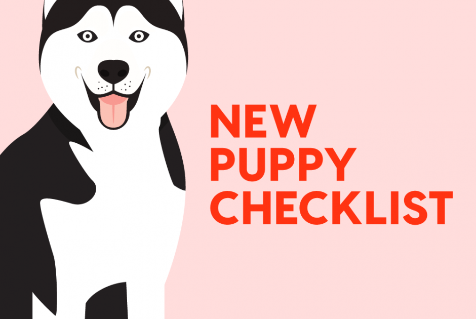 new-puppy-checklist alaska dog works