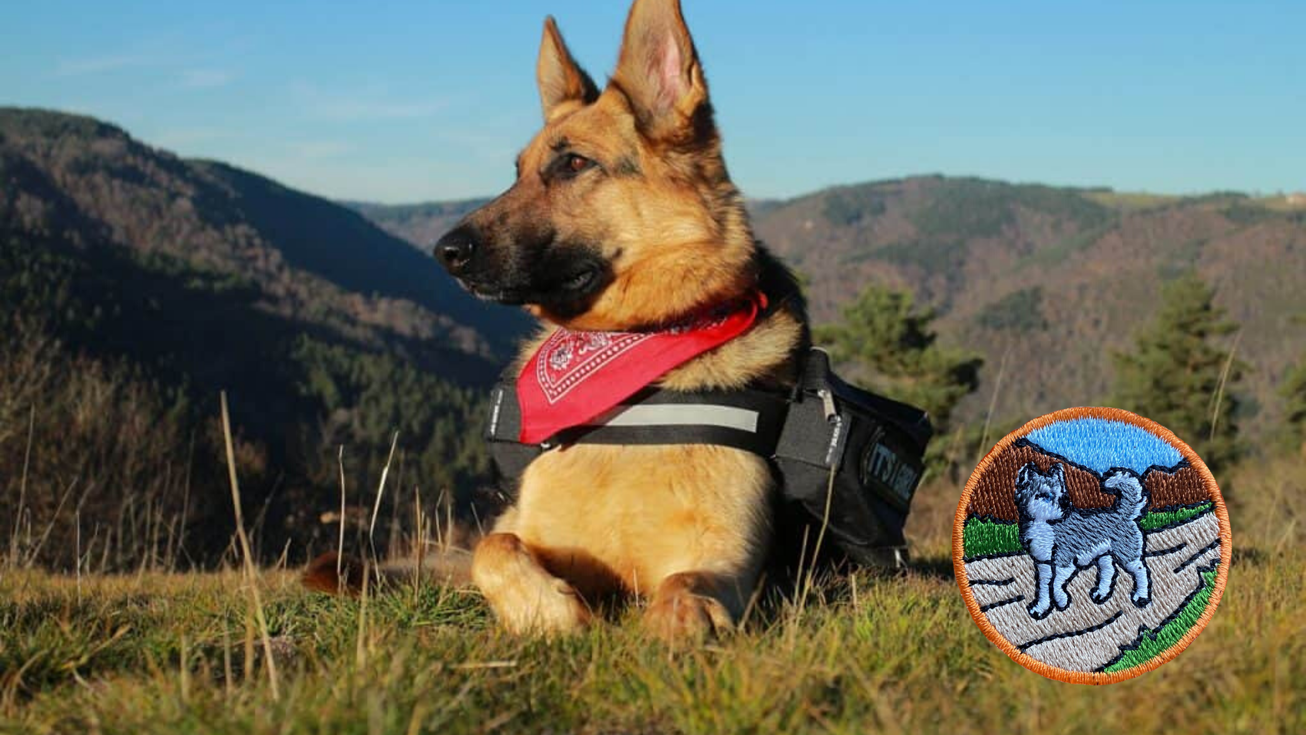 Hiking Dog Badge Adventure Dog Club Alaska Dog Works