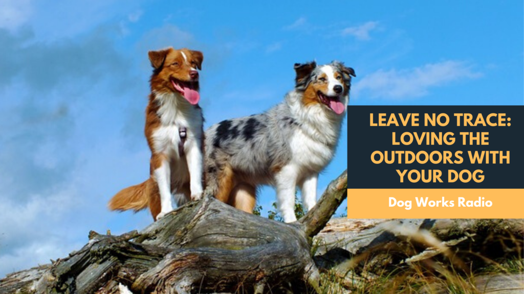 Alaska Dog Works Leave No Trace Loving your dog in the outdoors