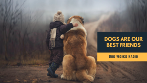 Dogs are our best friends alaska dog works