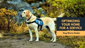 Optimizing your home for a service dog