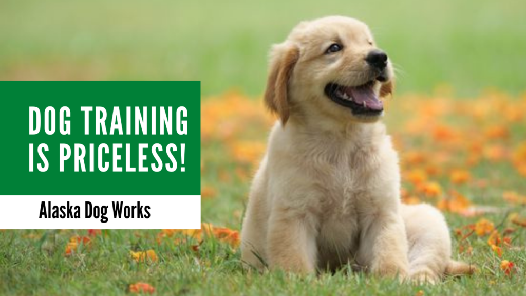 Dog Training is Priceless Alaska Dog Works