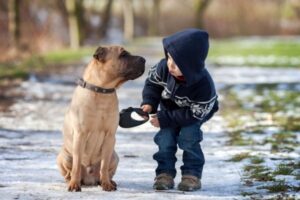 5 reasons why puppies are good for us