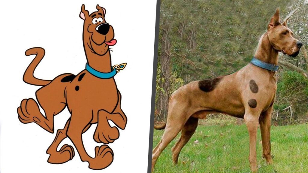 70 dog names from cartoons