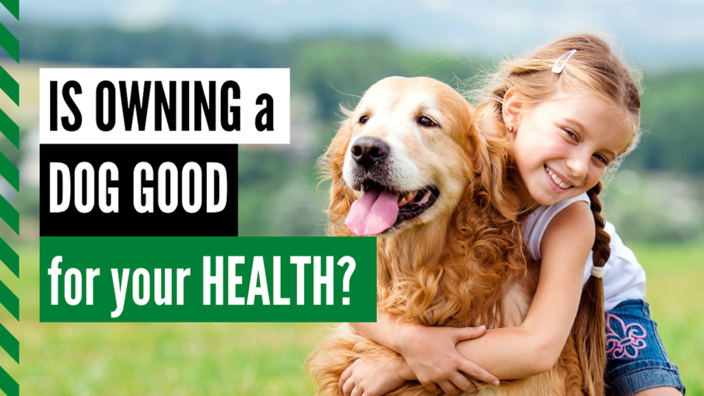 owning-a-dog-good-for-your-health-YouTube-Thumbnail-17-1024x576