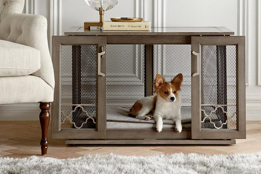 why crate training your dog is a good idea