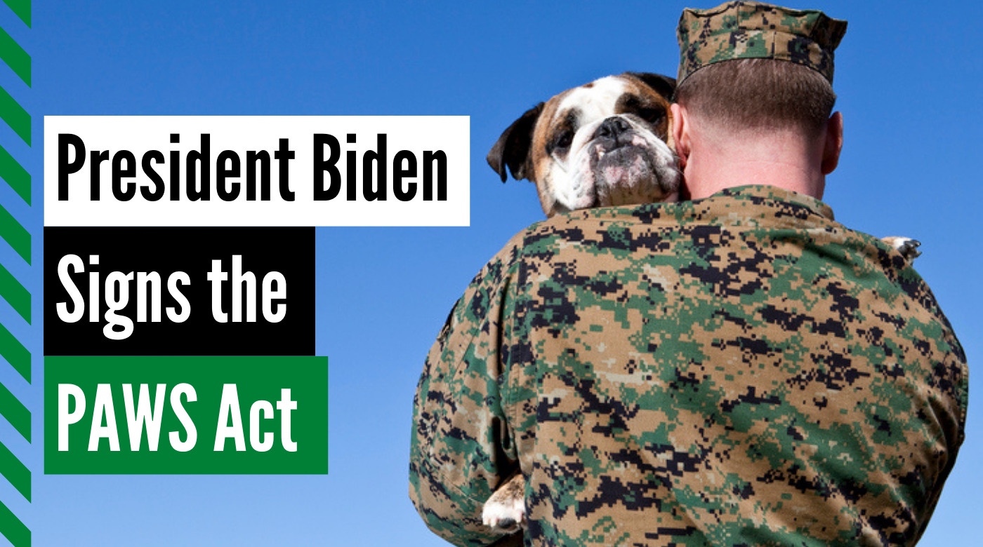 President Biden signs the paws act alaska dog works