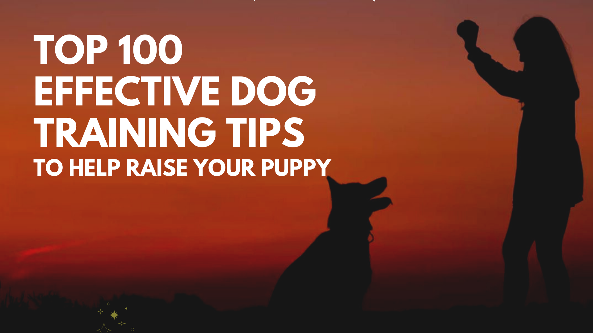 How to Train a Puppy: Top 100 Effective Dog Training Tips to Help Raise ...