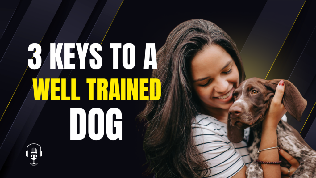 The 3 Keys to a Well-Trained Dog