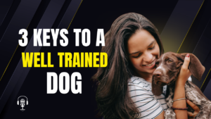 The 3 Keys to a Well-Trained Dog
