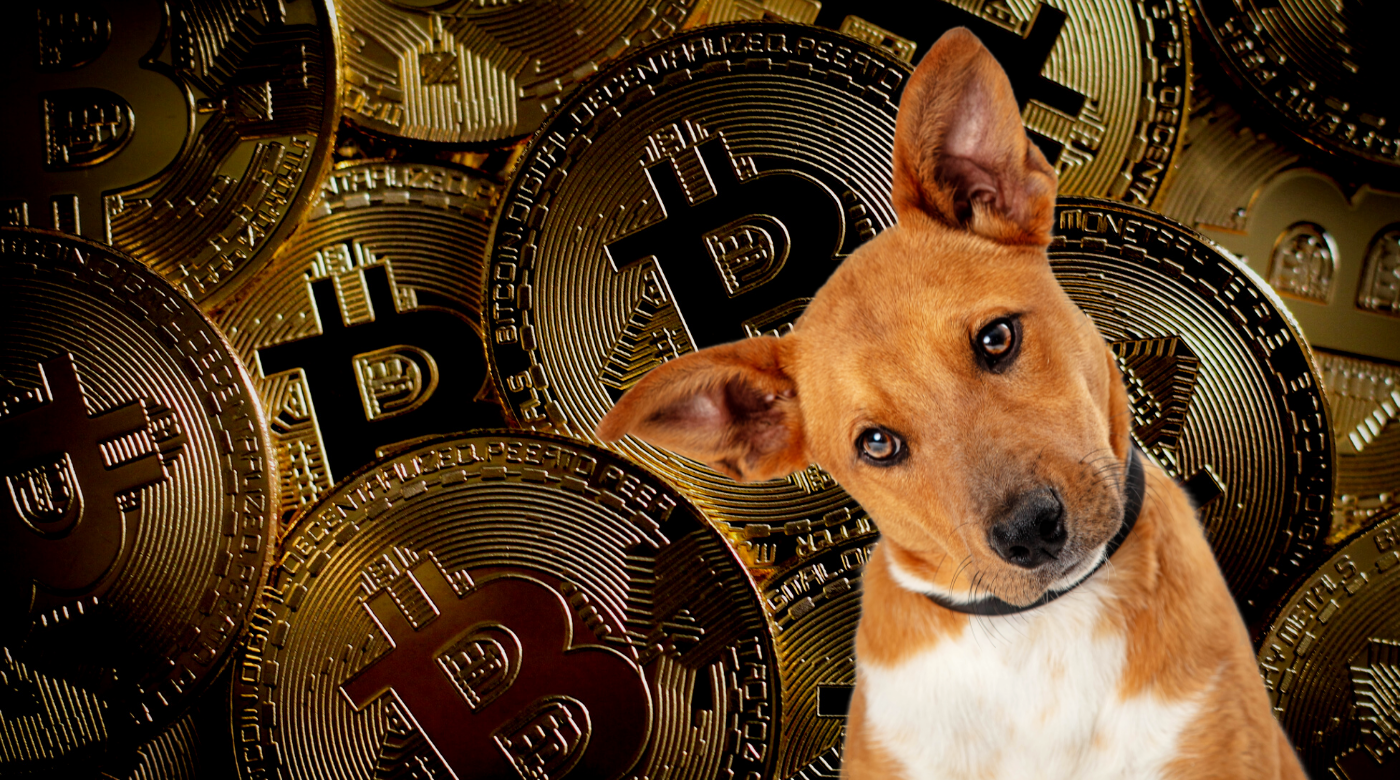 Pay Dog Training with Crypto - Alaska Dog Works