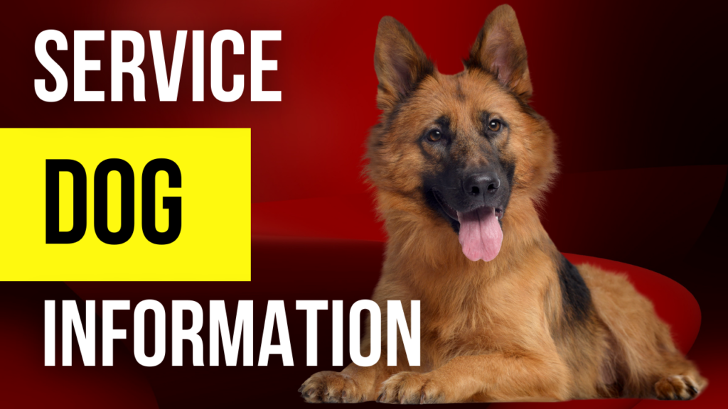 service dog information Alaska dog works