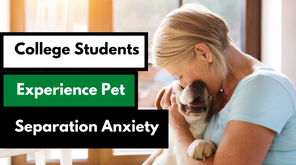 College Students experience pet separation anxiety