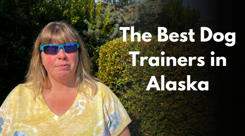 The best dog trainers in alaska are alaska dog works
