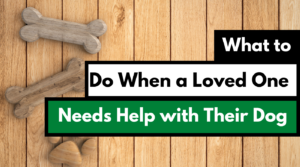 What to do when a loved one needs help with their dog