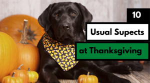 10 Usual Suspects at Thanksgiving & How to Save Your Dog From Them