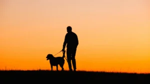 new years resolutions and your dog