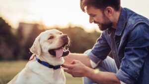 good communication with your dog