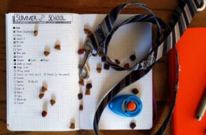 Bullet Journal for Puppy Training