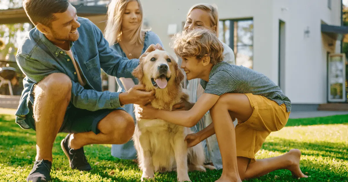 How to Add a Dog to Your Homeowners Insurance Policy - Alaska Dog Works