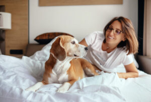 pet friendly hotels