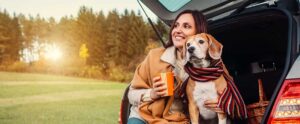 dog_in_rental_car