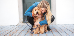 training your dog to live indoors and outdoors