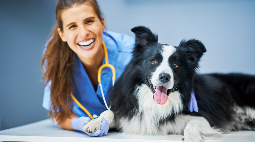 national pet wellness month