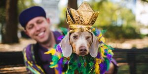 how to celebrate Mardi Gras with my dog