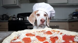 can dogs eat pizza
