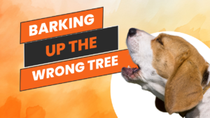 barking up the wrong tree