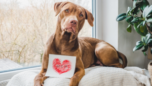 celebrate-mothers-day-with-dog