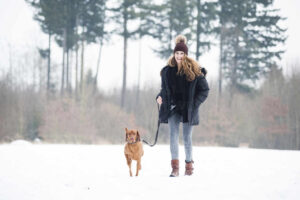 Anchorage Dog Training: Top 5 Dog Training Tips for Anchorage's Unique Climate