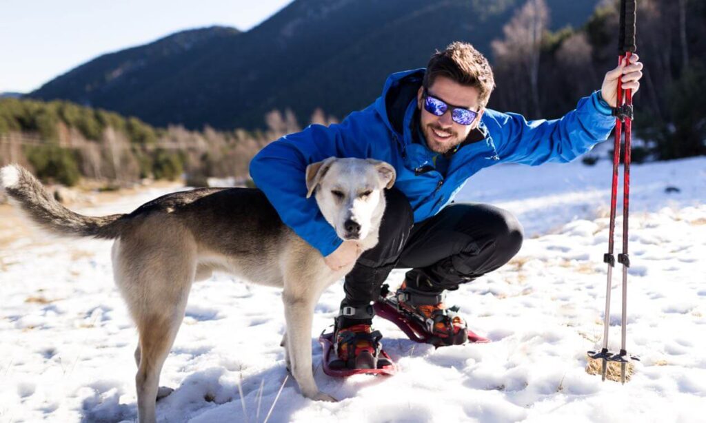 How to Train Your Dog for Winter Activities in Anchorage