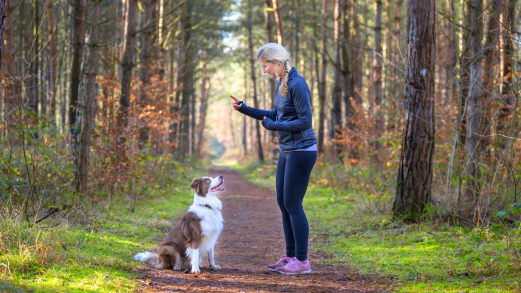 4 Dog Training Goals for the New Year