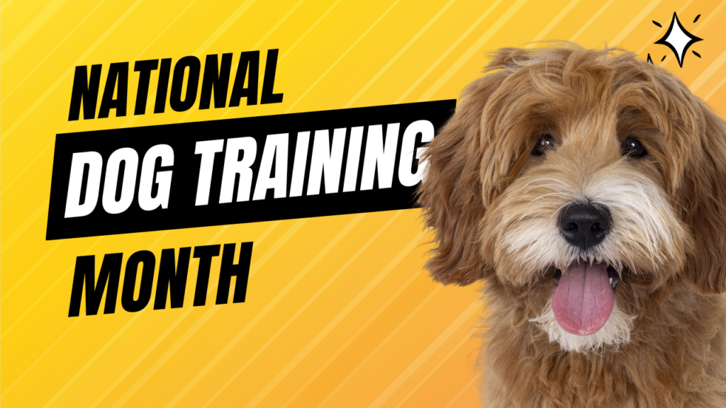 National Train Your Dog Month