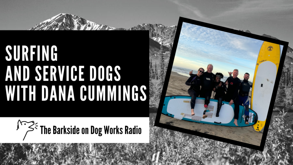 Surfing and Service Dogs with Dana Cummings || The Barkside