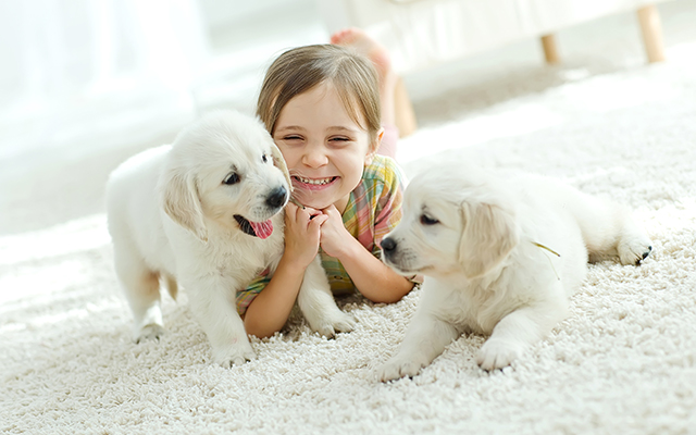 Puppy Names That Never Go Out of Style