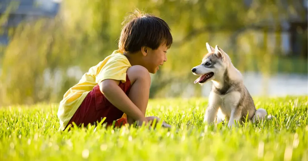 Quick Tips For Choosing The Right Puppy For Your Kids