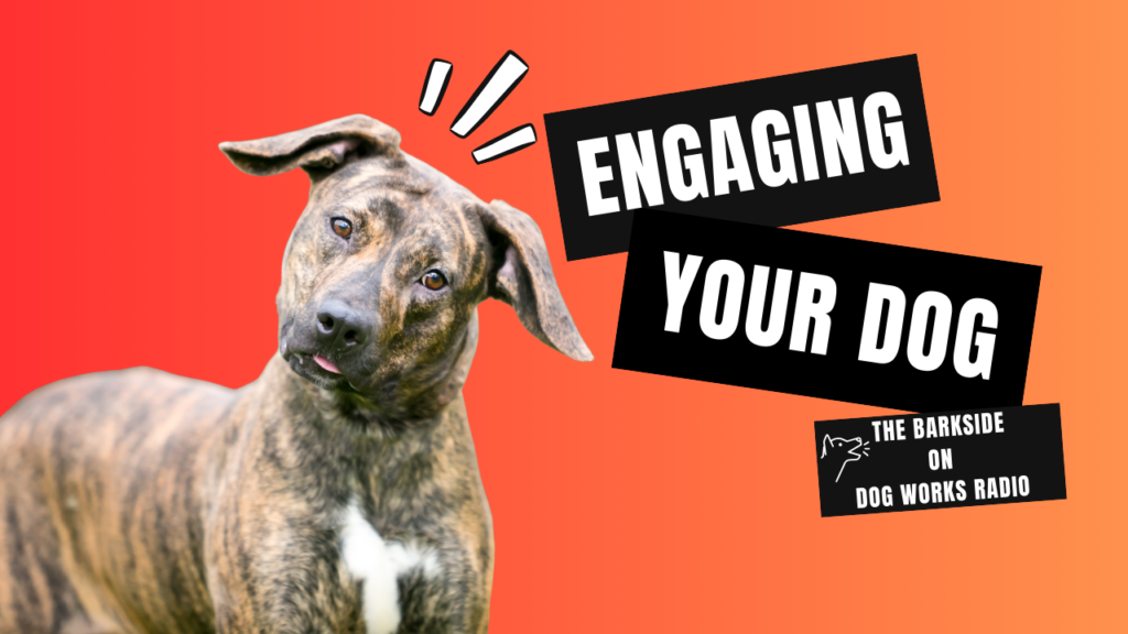 Engaging Your Dog | The Barkside