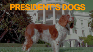 Popular Presidents and Their Dogs
