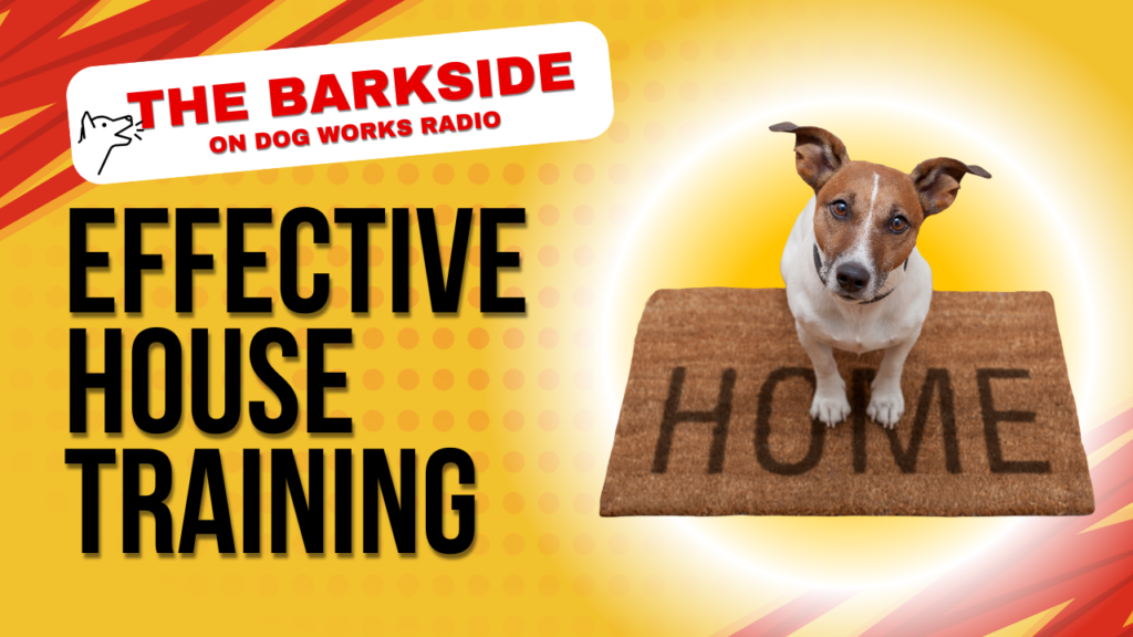 Effective House Training