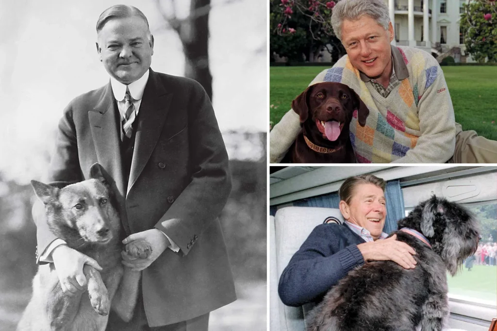 Popular Presidents and Their Dogs (2)